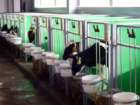 Клетка "2-6" для телят Клетка "2-6" для телят