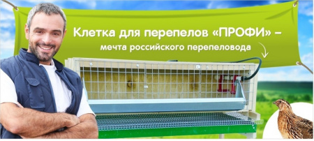 Клеточная батарея "Мечта-профи" для перепелки
