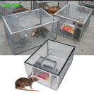 Автоматическая живоловка на несколько крыс - мышей
