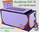 Инкубатор OVO 78 для бройлеров