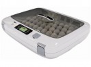 Инкубатор Rcom 50 MAX для инкубации яйца