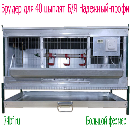 Клетка для цыплят "Б/Я Надежная-профи"