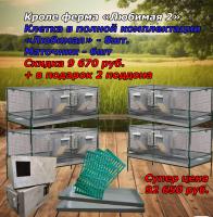 Готовая ферма под ключ для кроликов «Любимая №2» до 96 голов