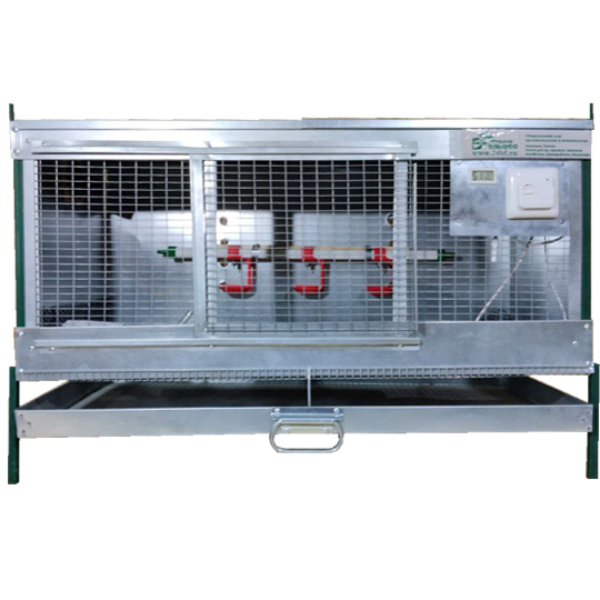 Брудер для перепелок "Надежный-профи"