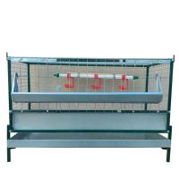 Клетка для бройлеров Надежность Профи-6