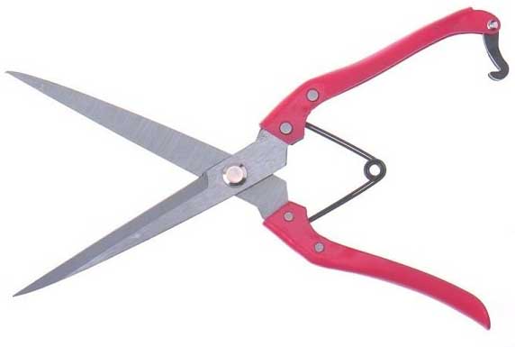 Ножницы для собак 30см оцинкованные