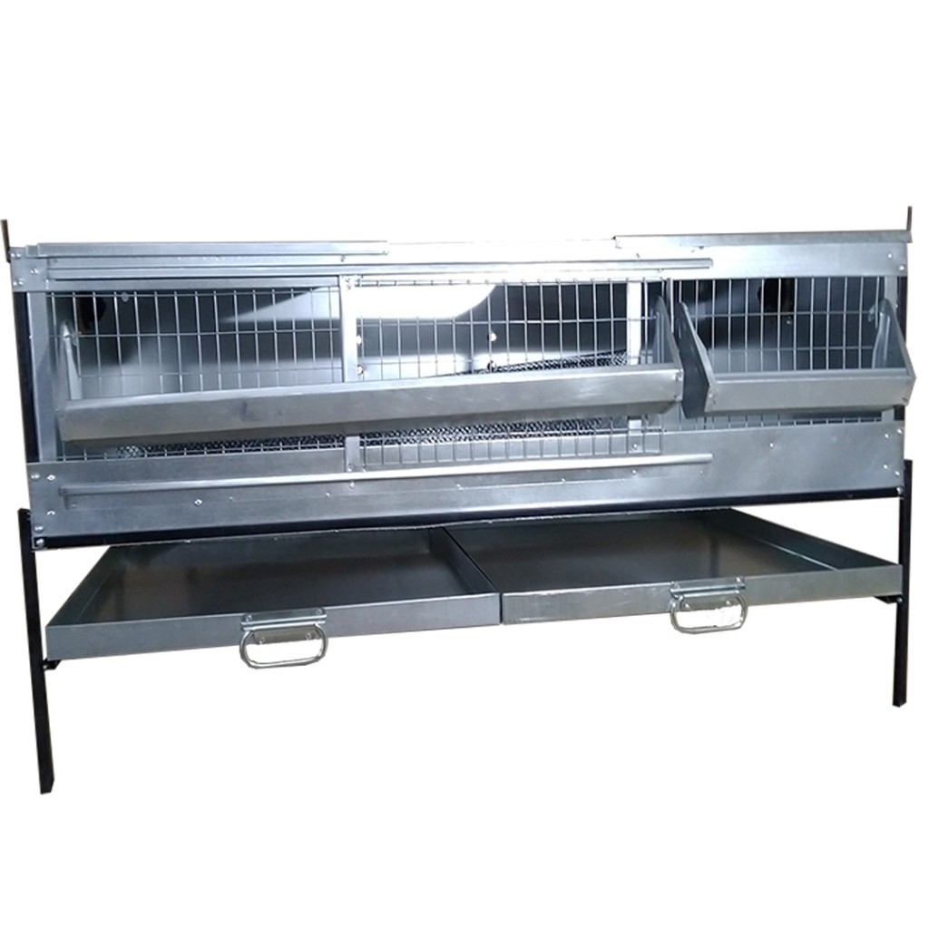 Брудер Б/Я-Любимый-люкс