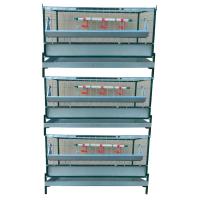 Клетка для бройлеров Надежность Профи-6 3в1