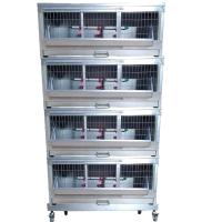 Четыре брудер Б/Я Стандарт-премиум + подставка