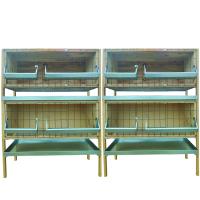 Ферма для бройлеров Нежность Премиум-2/2