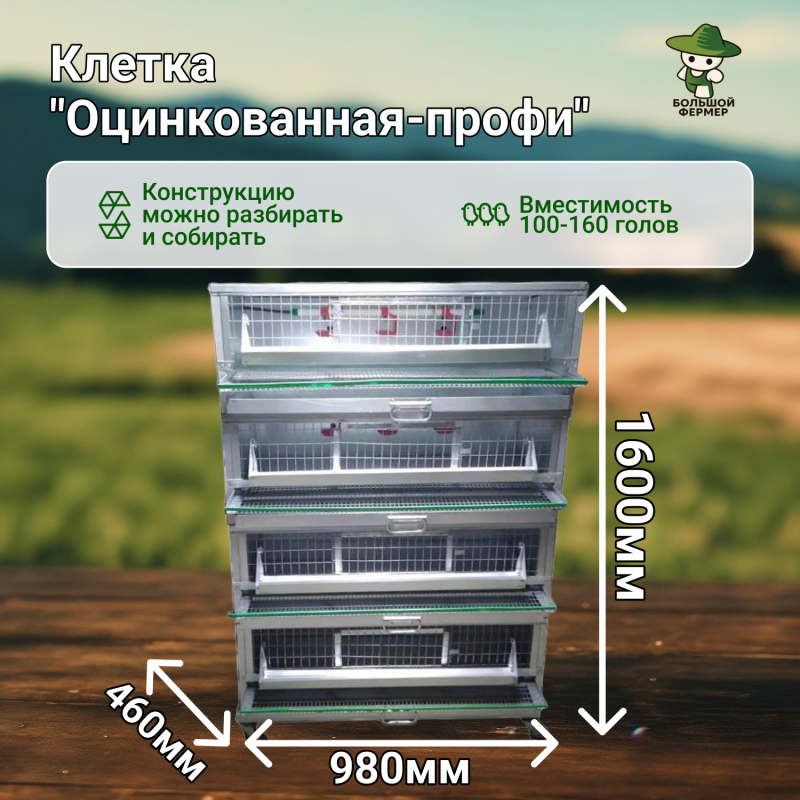 Перепела и Итоги. Маленькая птица — большой доход