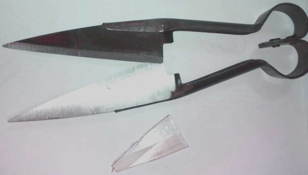 Ножницы для собак двойные 25 см