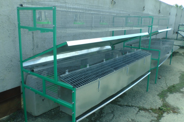 Клетка для кролиководства КМОП-2 Клетка для кролиководства КМОП-2