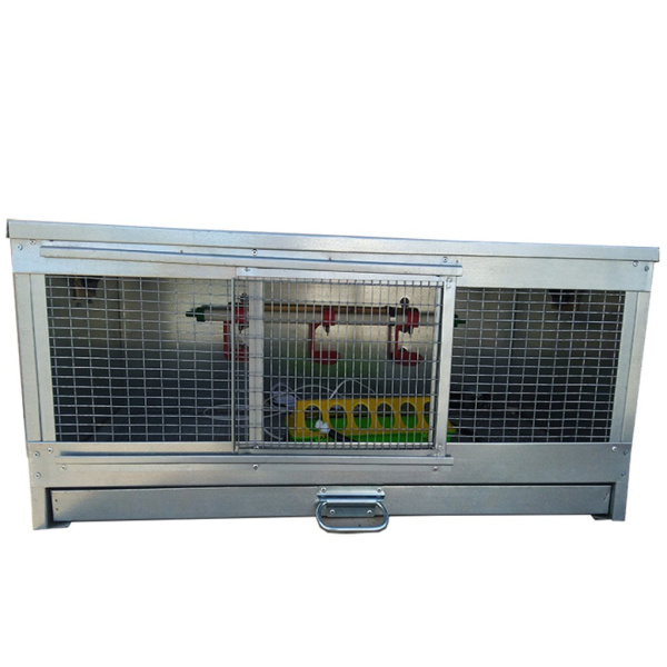 Брудер "Стандарт-премиум" для цесарок