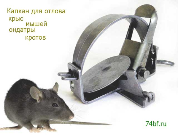 Капкан от крыс и мышей средний