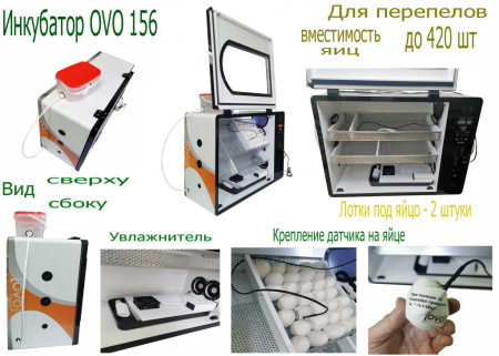 Инкубатор OVO 156 для перепелов