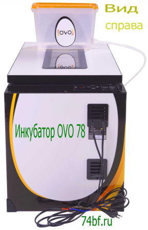 Инкубатор OVO 78 для перепелов