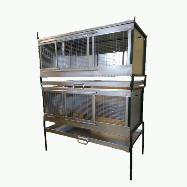 Брудер для кур "Надежный-эконом"