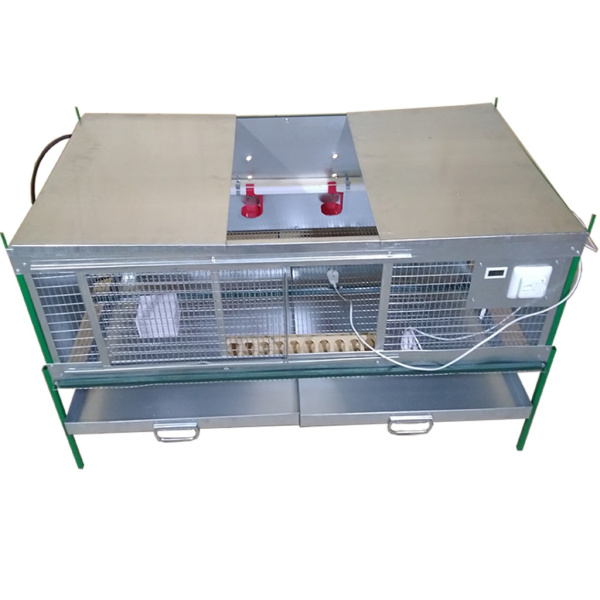 Брудер "Любимый-профи" для несушек