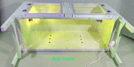 Брудер "Нежность-эконом" для перепелят