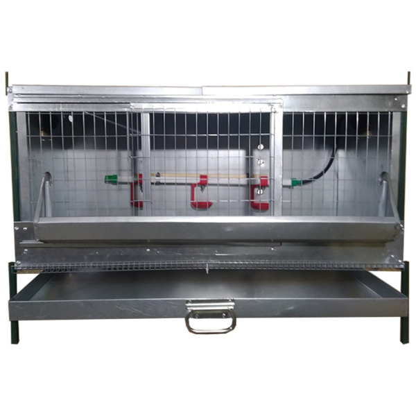 "Премиум-проф.трубы2" Клетка для цыплят Ходовая№3Б.Ячейка