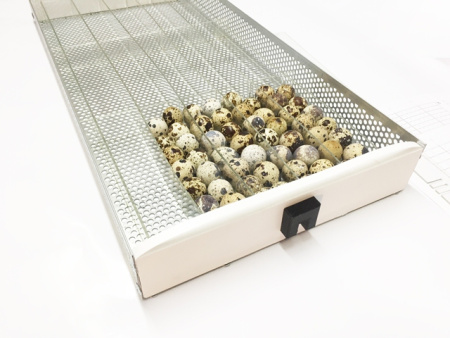 Перегородки инкубатора OVO