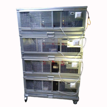 Брудер "Пеструшка-профи" для несушек