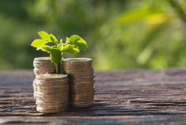 сео специалист услуга