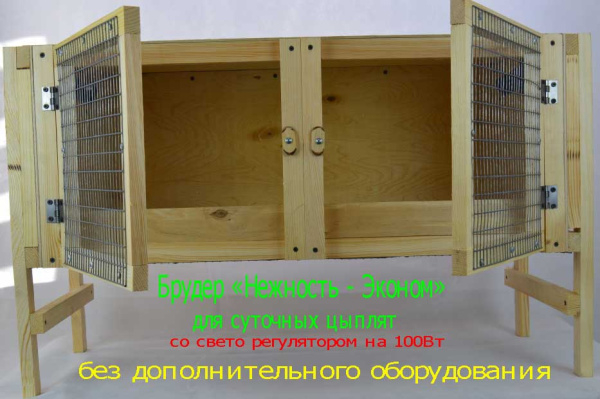 фото брудер Нежность-эконом