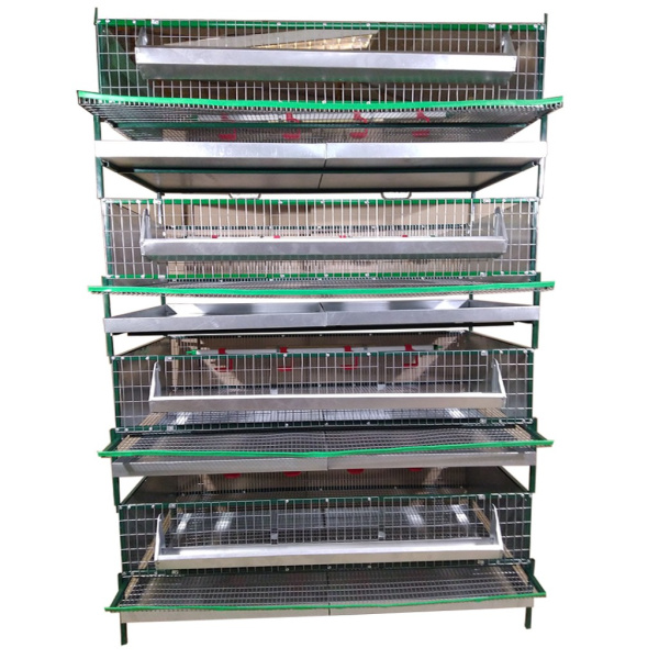 Ферма "Любимая-профи" для перепелов