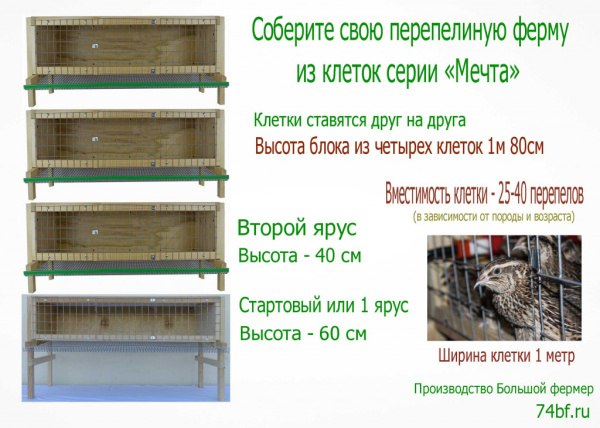 фото клетка "Мечта-Эконом 1" для перепелов
