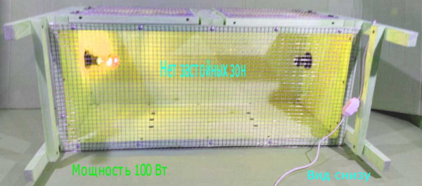 Брудер "Нежность-эконом" для цыплят