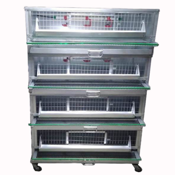 Ферма "Оцинкованная-профи" для перепелов