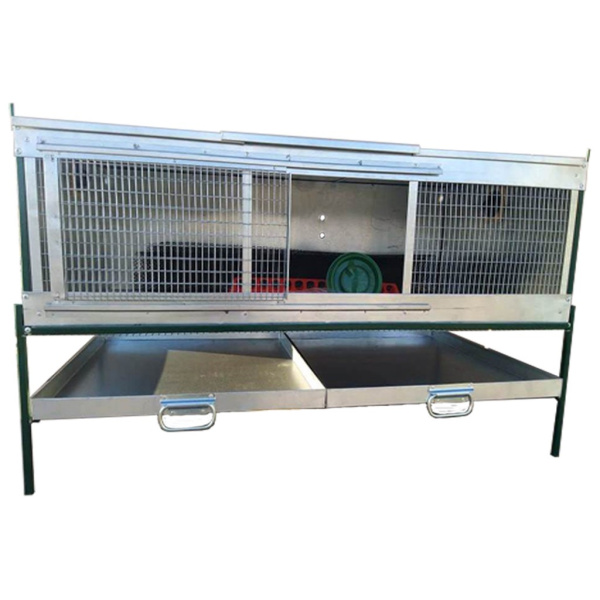 Брудер "Любимый-люкс" для несушек