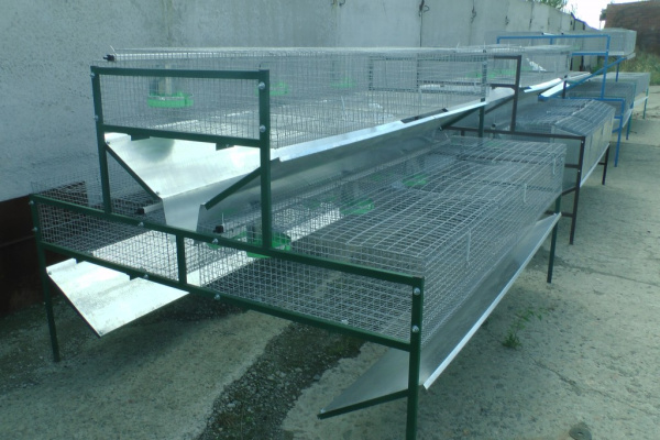 Клетка для кролиководства КО-1,5 Клетка для кролиководства КО-1,5