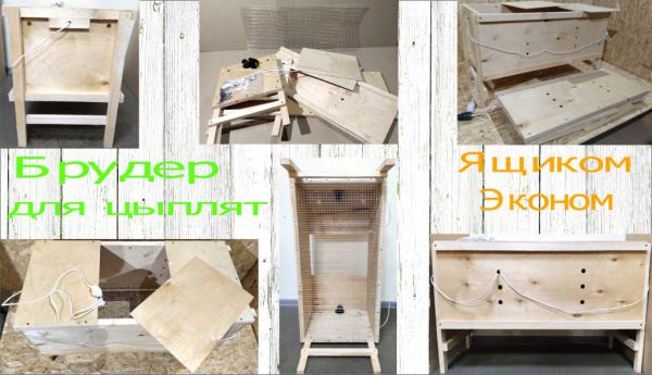 Брудер для цыплят "Ящик-эконом"