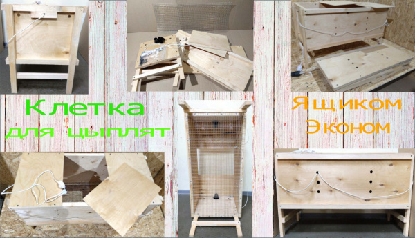 (Клетка Ящик-эконом для цыплят)