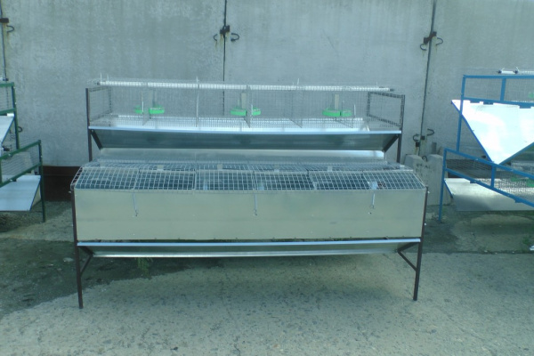 Клетка для кролиководства КМ-2Ф Клетка для кролиководства КМ-2Ф