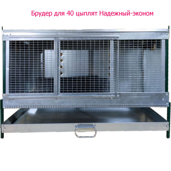 Брудер для цыплят "Надежный-эконом"