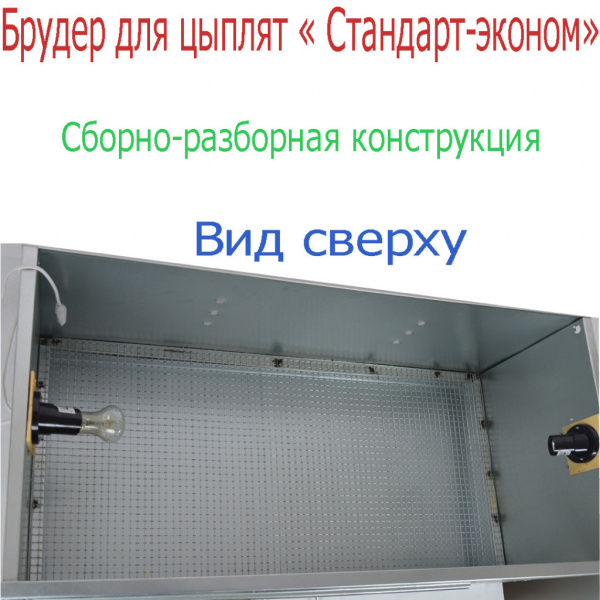 Брудер "Стандарт-эконом"