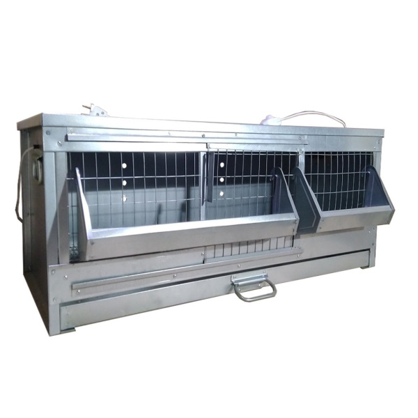 Клетка Б/Я "Идеальная-стандарт" для цыплят