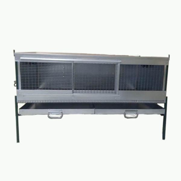 Брудер "Любимый-стандарт" для несушек