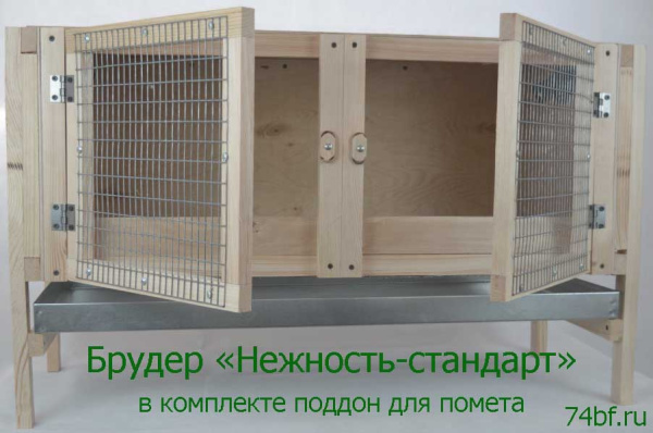 Брудер "Нежность-стандарт" для несушек