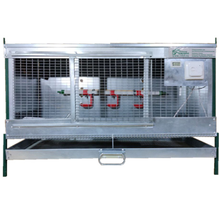 Брудер для перепелят "Надежный-профи"