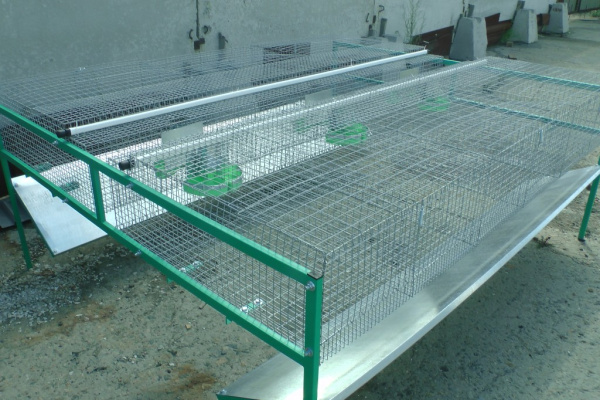 Клетка "КО1-кроль-стандарт" для кролиководства Клетка "КО1-кроль-стандарт" для кролиководства