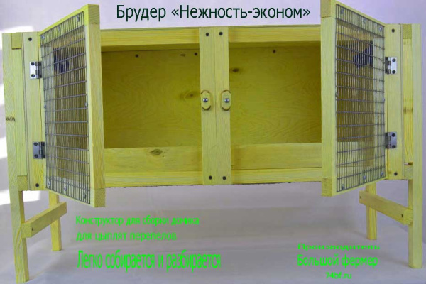 Брудер "Нежность-эконом" для перепелов