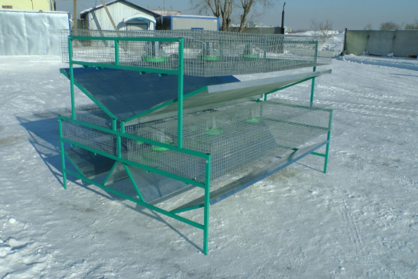 Клетка для кролиководства КО-2Ф Клетка для кролиководства КО-2Ф