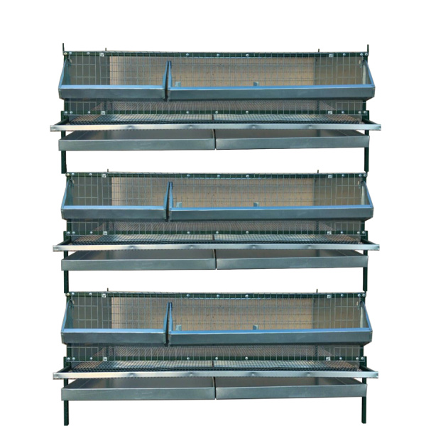 Клетка "Любимая-премиум" для перепеловодства