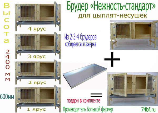 Брудер "Нежность-стандарт" для несушек