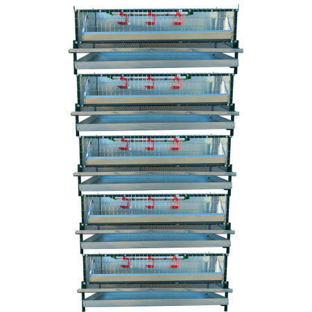 Клетка "Металл-профи" для перепеловодства 25-40 голов